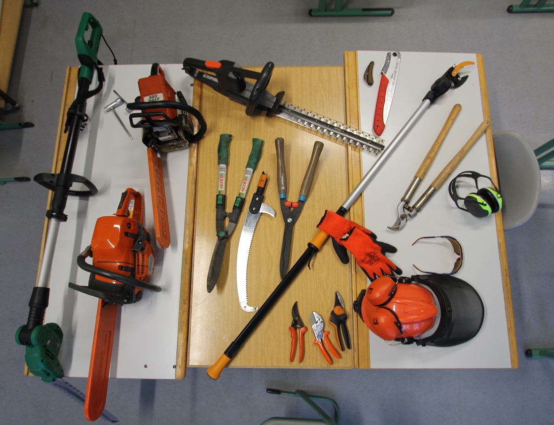 Werkzeuge für den Schnitt an Bäumen und Sträuchern