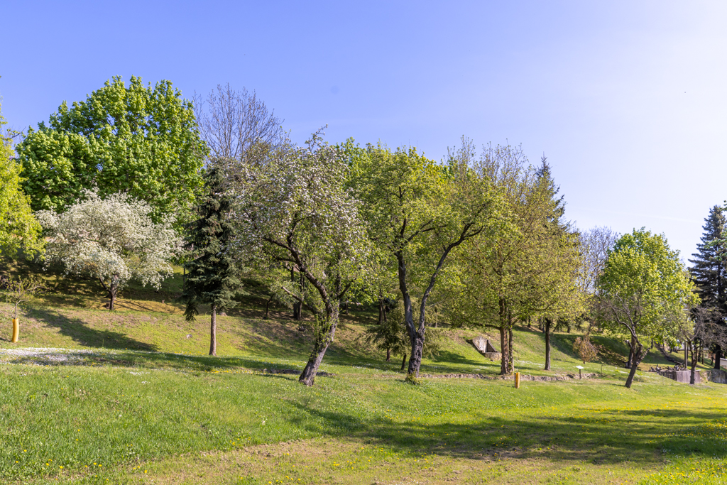 Landschaftspark am Schweizer Haus